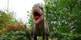 What Dinosaur has 500 teeth