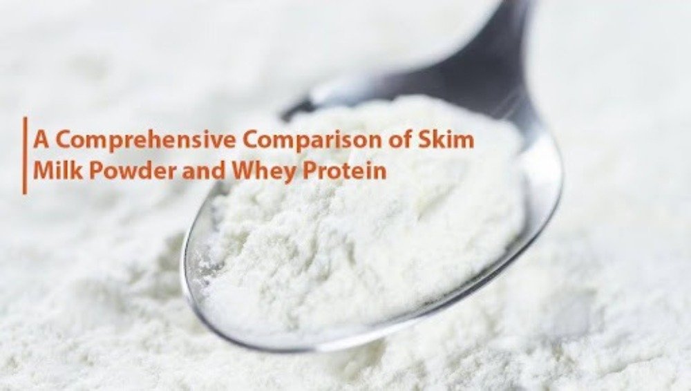 Whey Protein